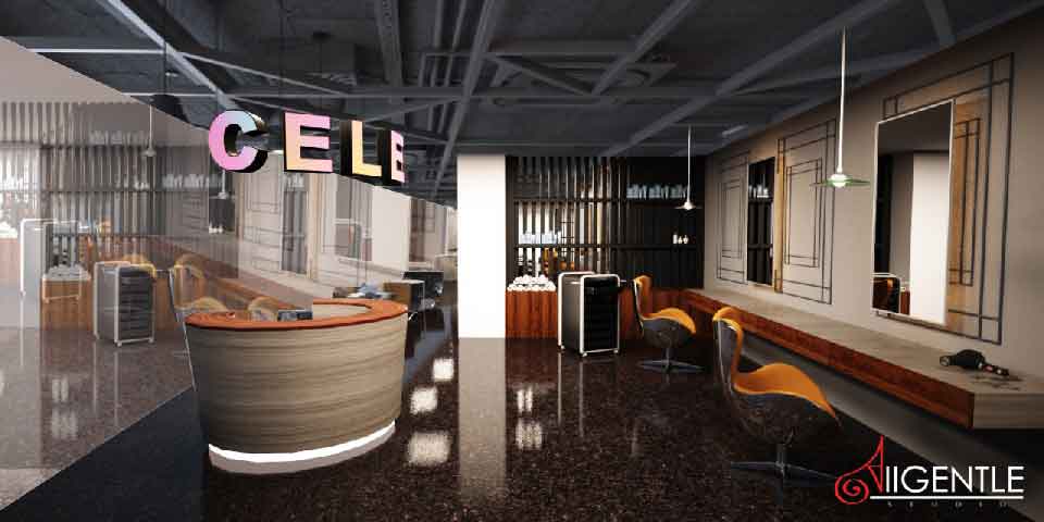 งานออกแบบร้านทำผม, รับออกแบบร้านทำผม, รับทำภาพ 3D Perspective, รับออกแบบร้านค้า